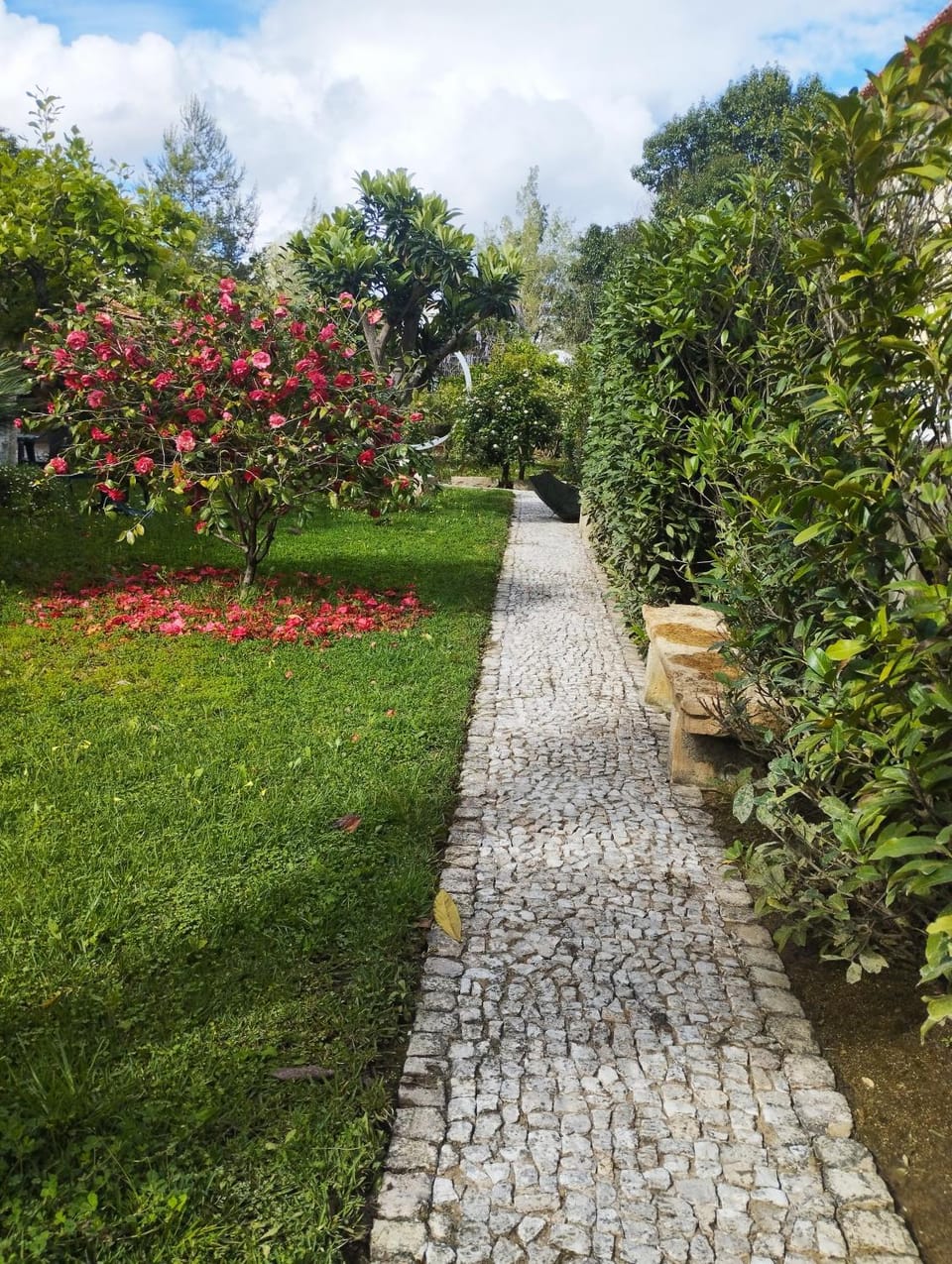 St Mary House Villa in Santarém District, Portugal