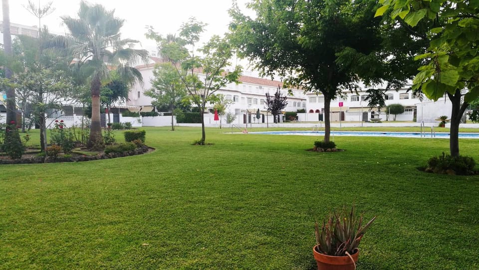 Garden view
