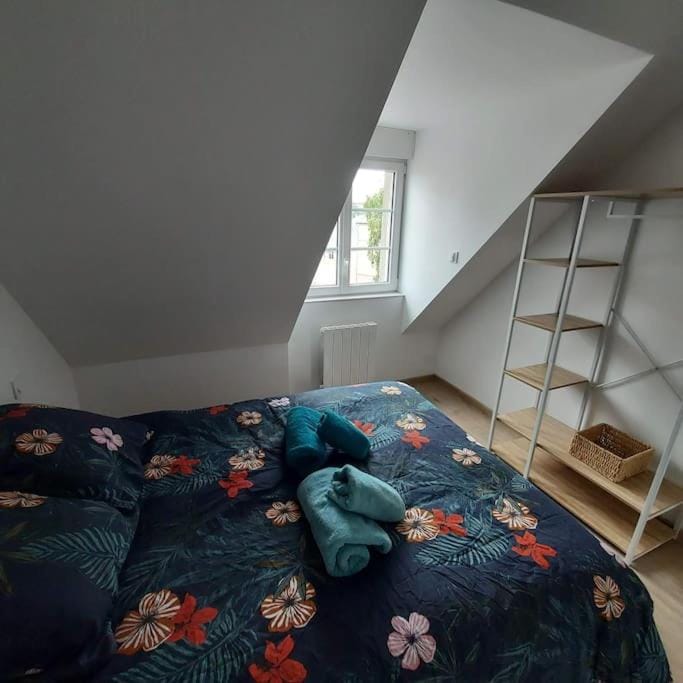 Bel appartement F2 hyper centre refait à neuf Apartment in Normandy