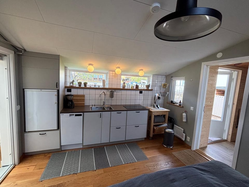 Kitchen or kitchenette, dishwasher, stove
