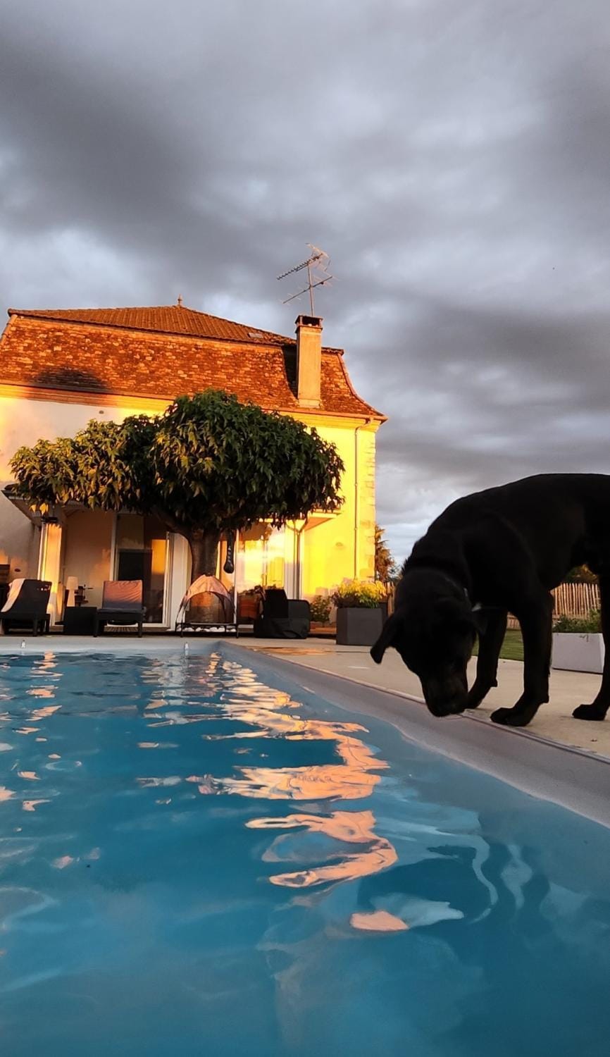 Pool view