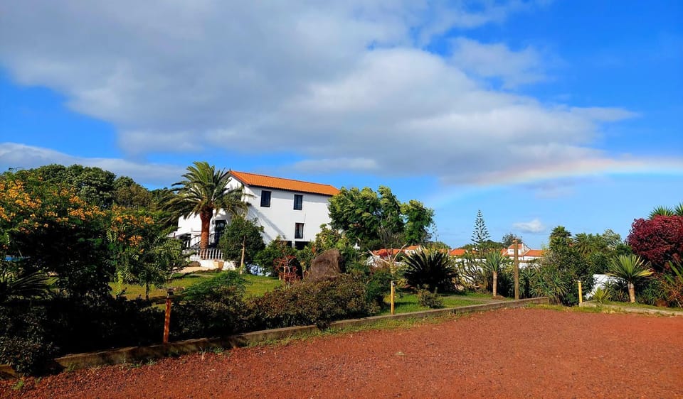 Property building, Garden, Garden view