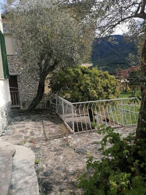 Garden, Balcony/Terrace, Garden view