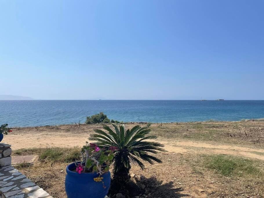 View (from property/room), Balcony/Terrace