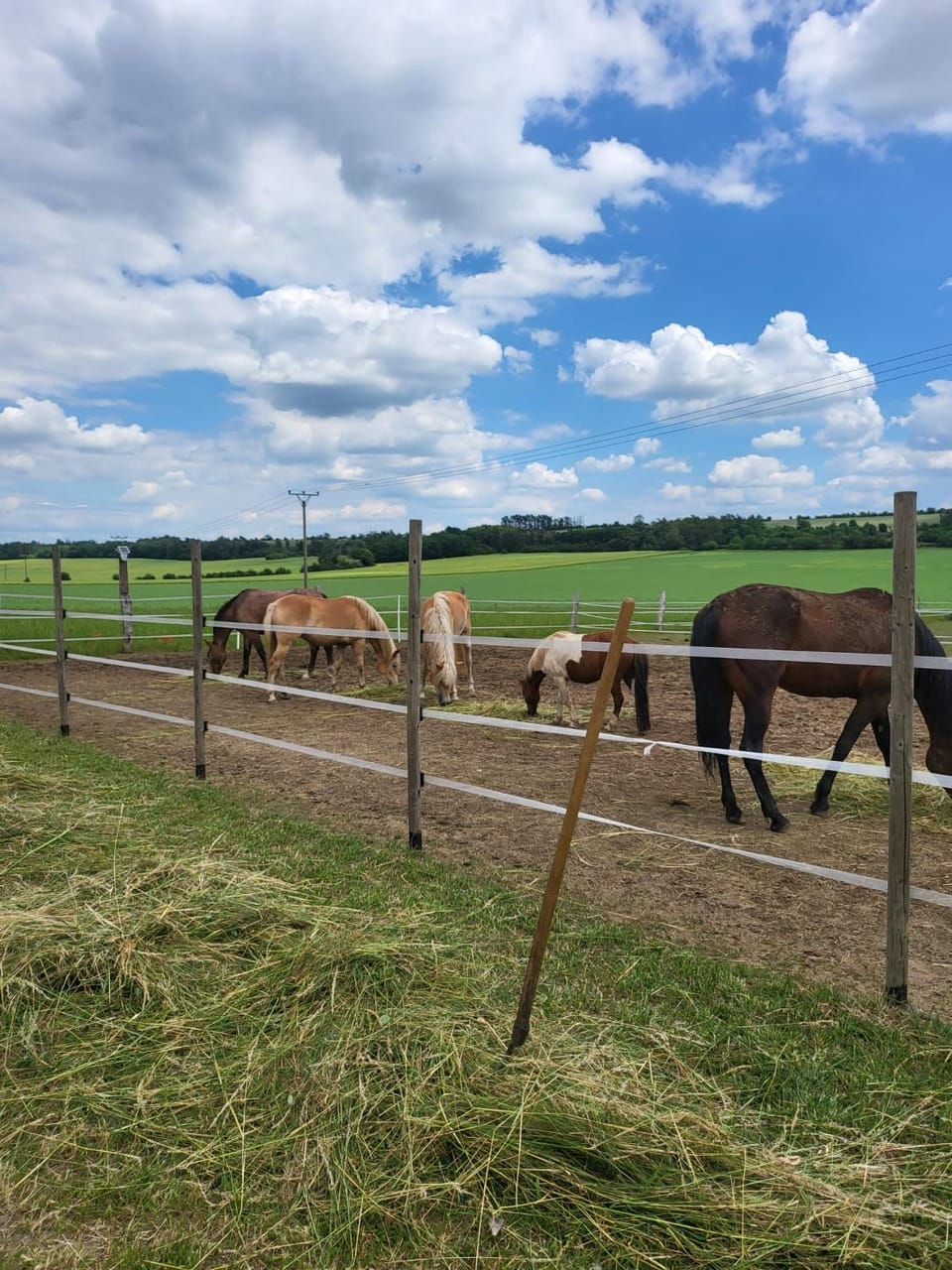 Ubytování u babičky Vacation rental in Saxony