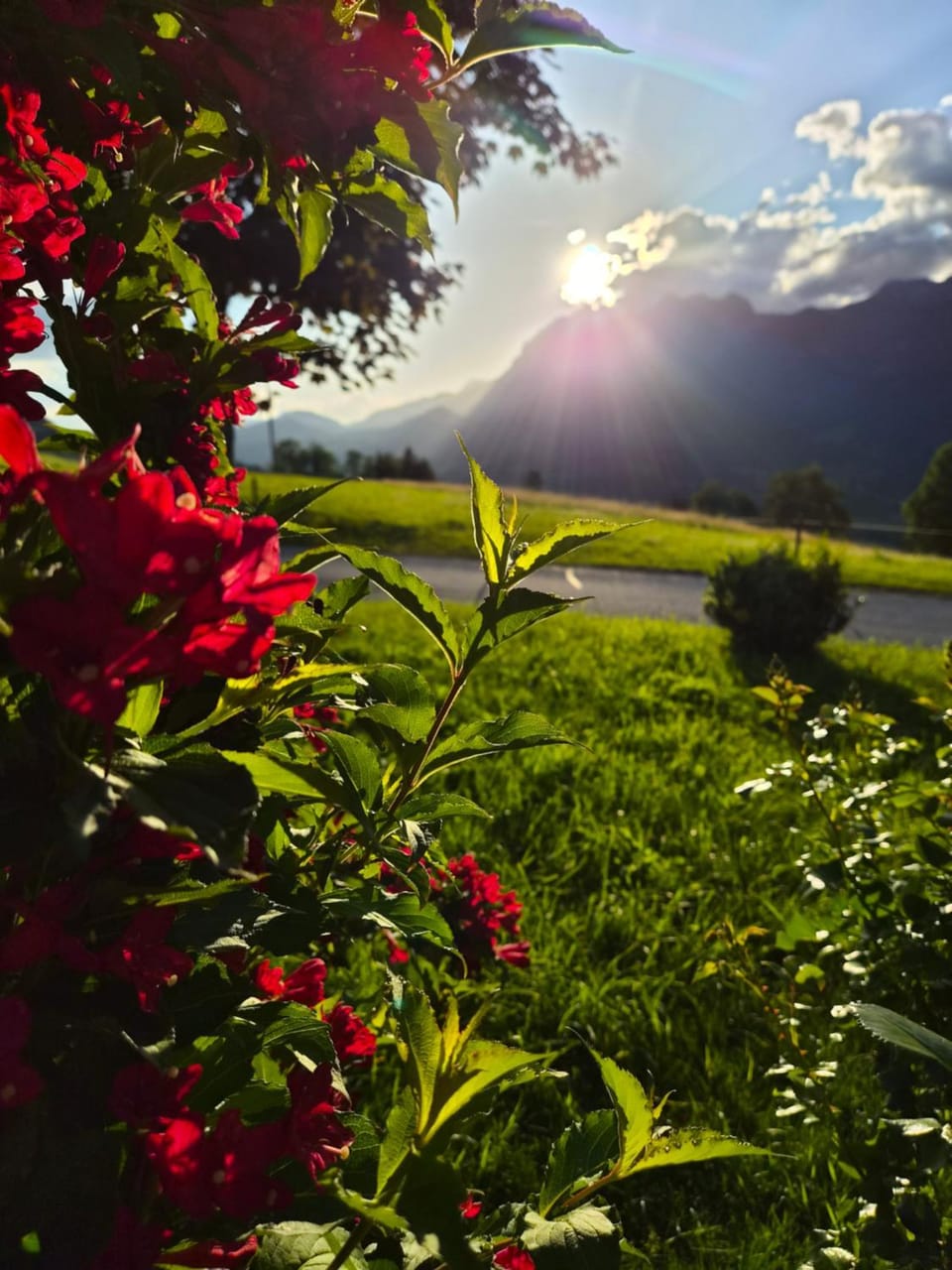 Natural landscape, Mountain view