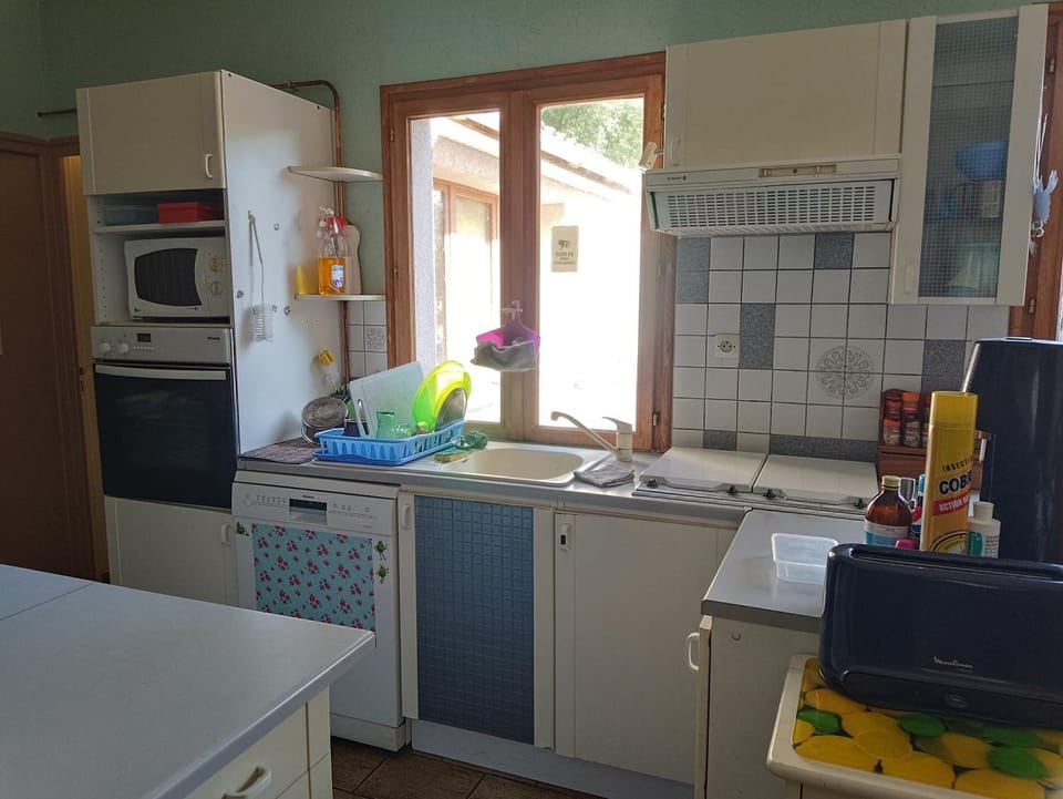 Kitchen or kitchenette, dishwasher, minibar, pet friendly, stove