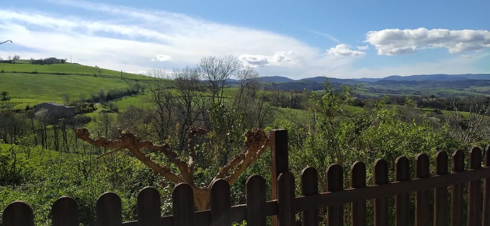 View (from property/room)