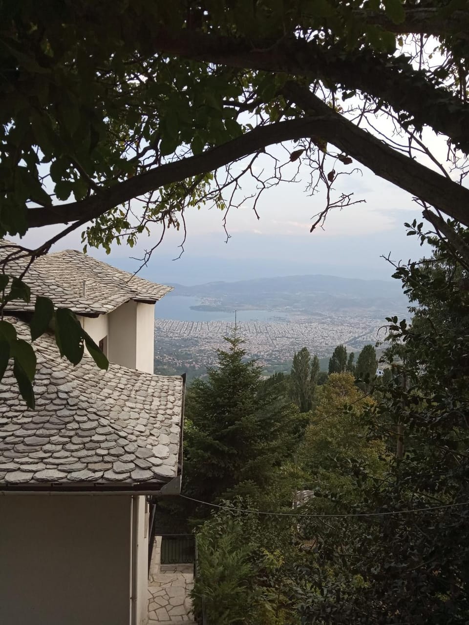 View (from property/room)