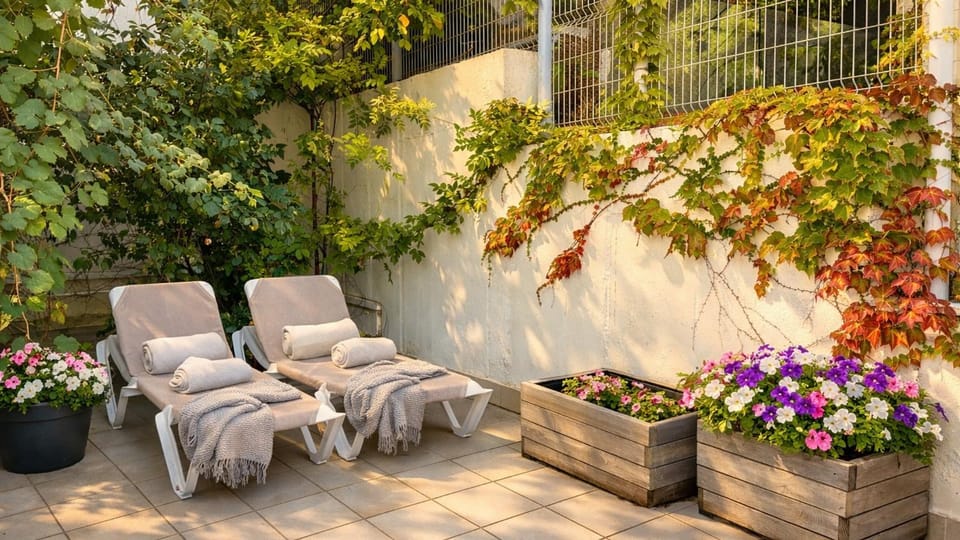 Day, Garden, Balcony/Terrace, Pets