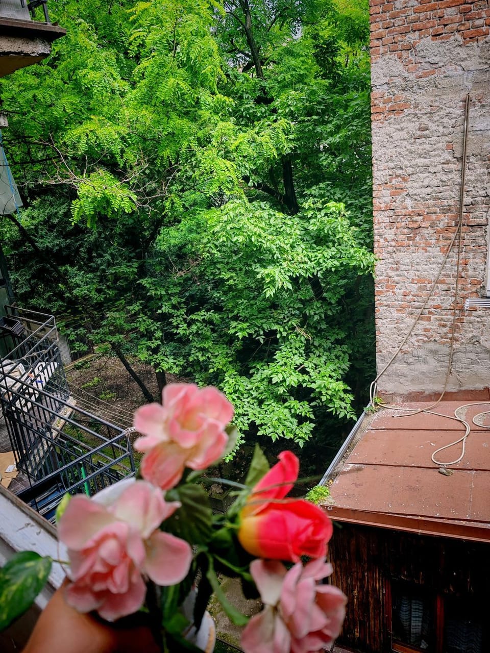 Central apartment, WALK everywhere Apartment in Belgrade