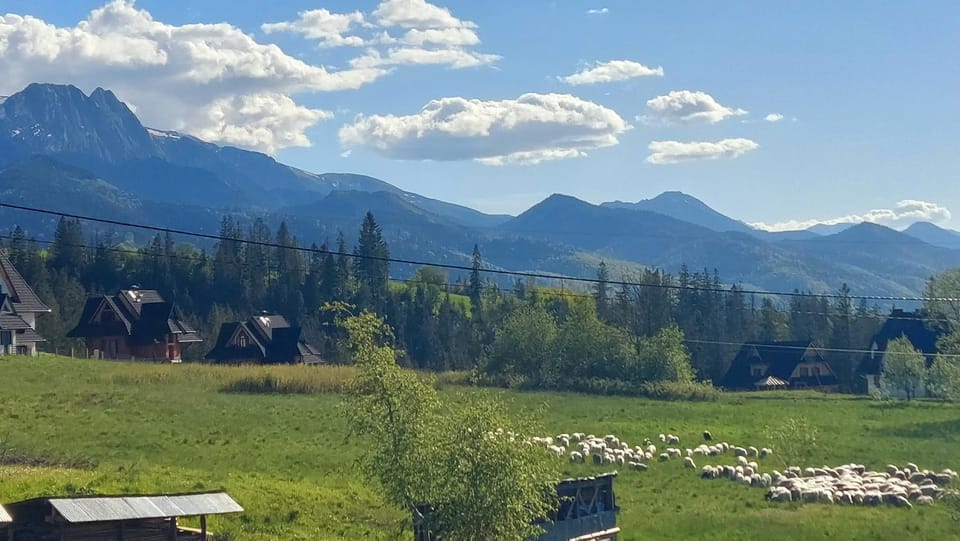 Mountain view