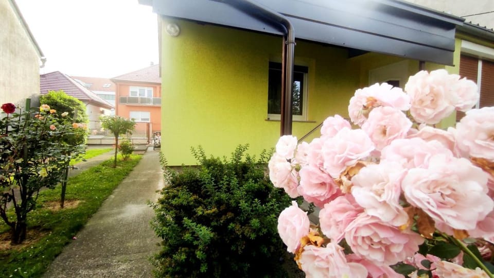 Property building, Spring, Day