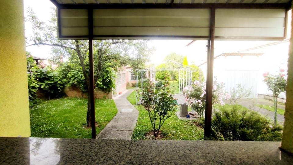 Spring, Day, Garden, Garden view
