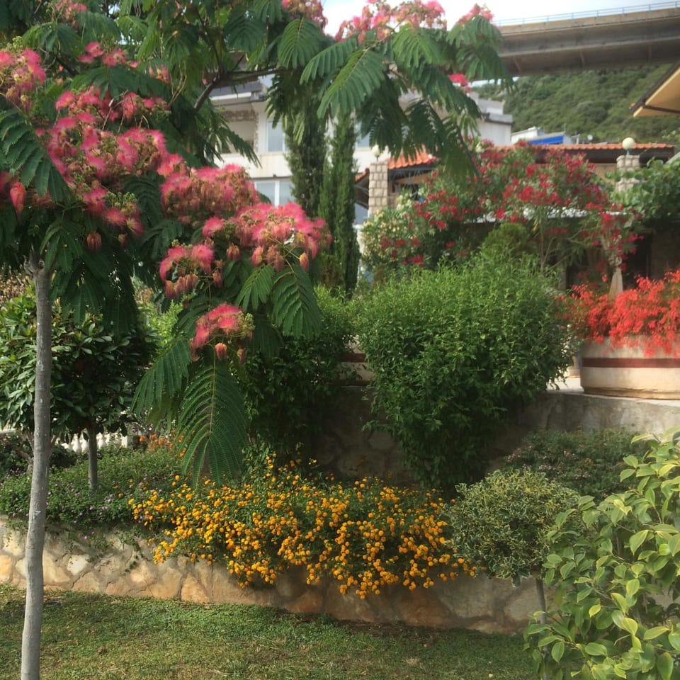 Семейный комплекс для отдыха Campground/ 
RV Resort in Ulcinj Municipality