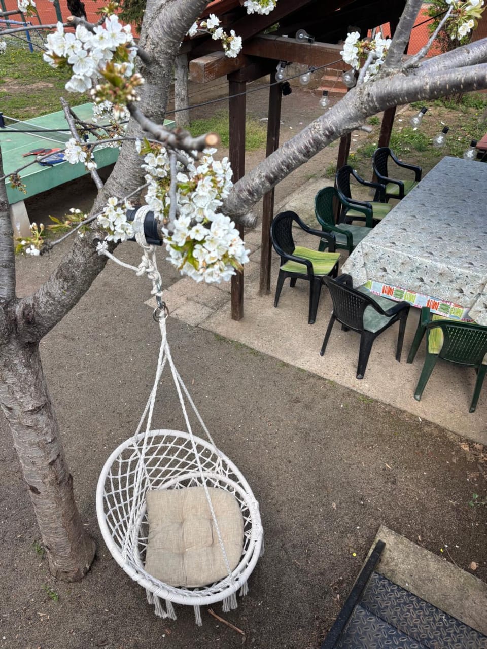 Vikendica S, Alibegovac Villa in Novi Sad