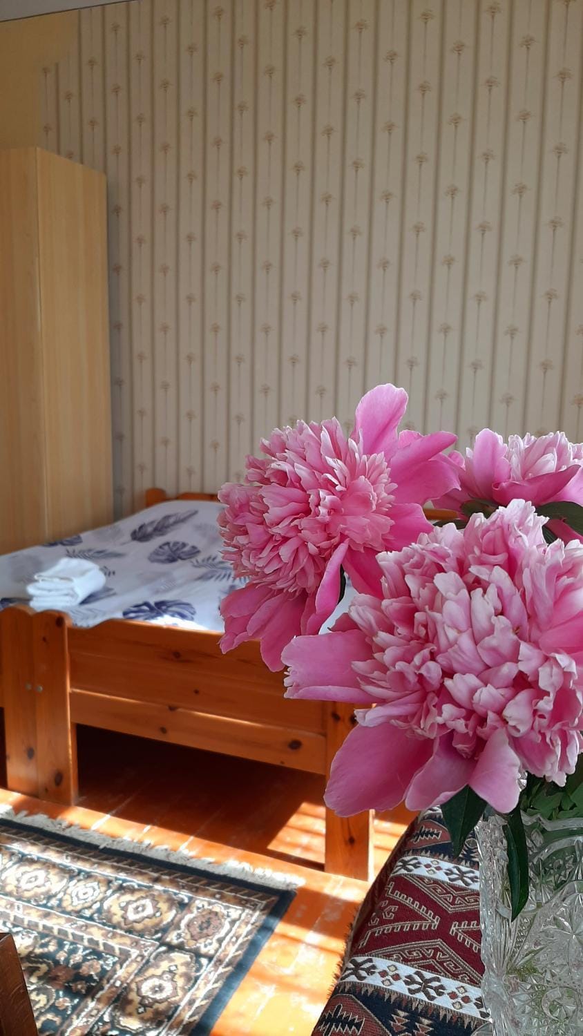 Papoyan Guest House Bed and Breakfast in Armenia