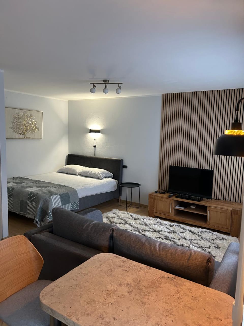Communal lounge/ TV room, Bed, TV and multimedia, Photo of the whole room, Bedroom