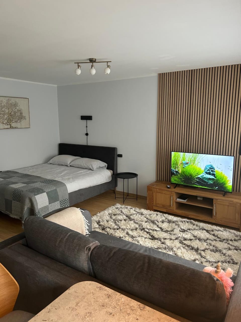 Communal lounge/ TV room, Evening entertainment
