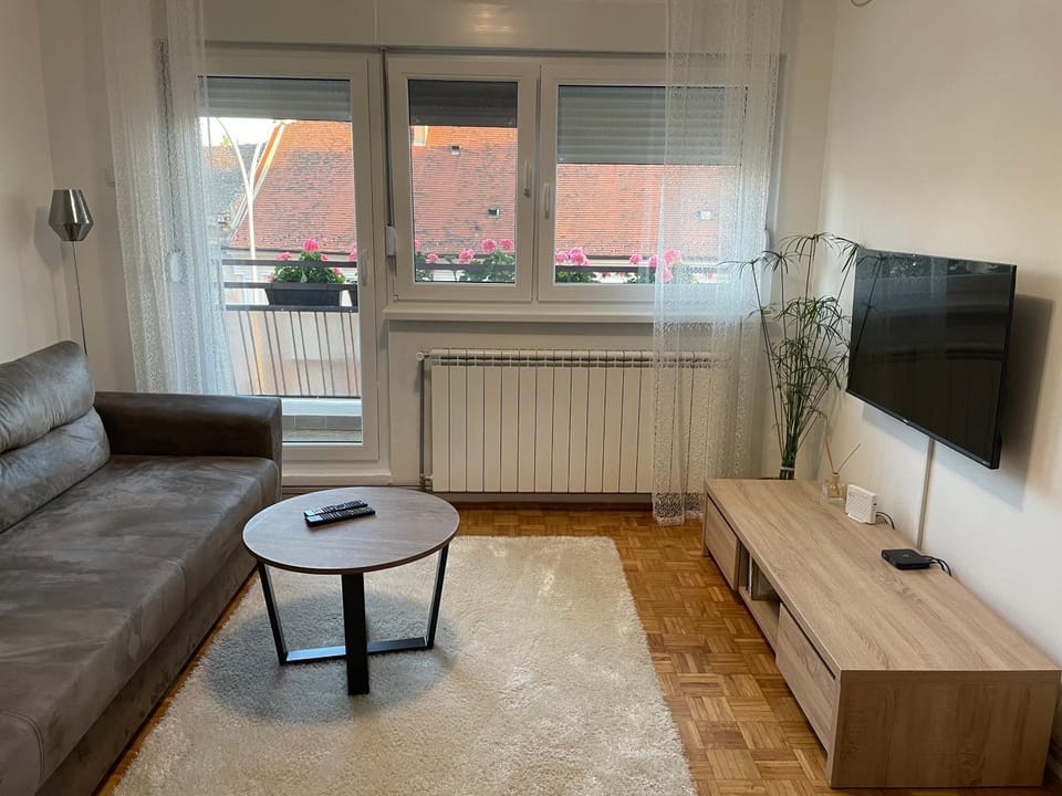 Sunny apartment Apartment in Vojvodina