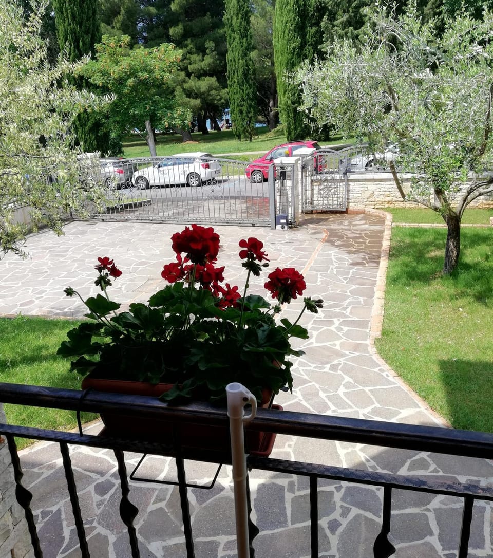 Studio Apartments Pinia-Marina Apartment in Poreč