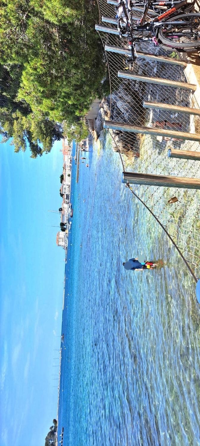 Studio Apartments Pinia-Marina Apartment in Poreč