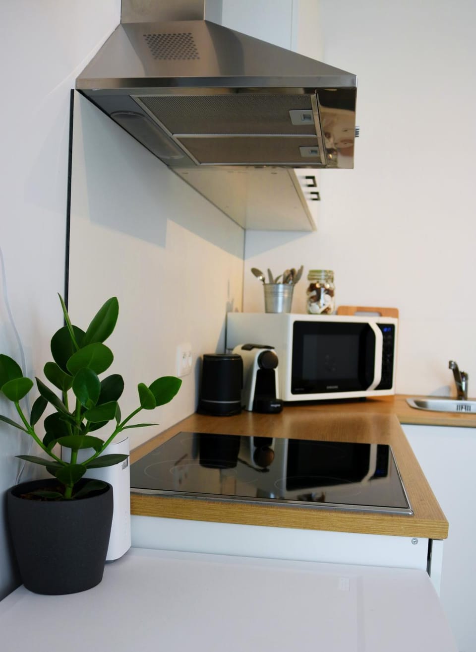Coffee/tea facilities, Kitchen or kitchenette, minibar, pet friendly, stove, toaster
