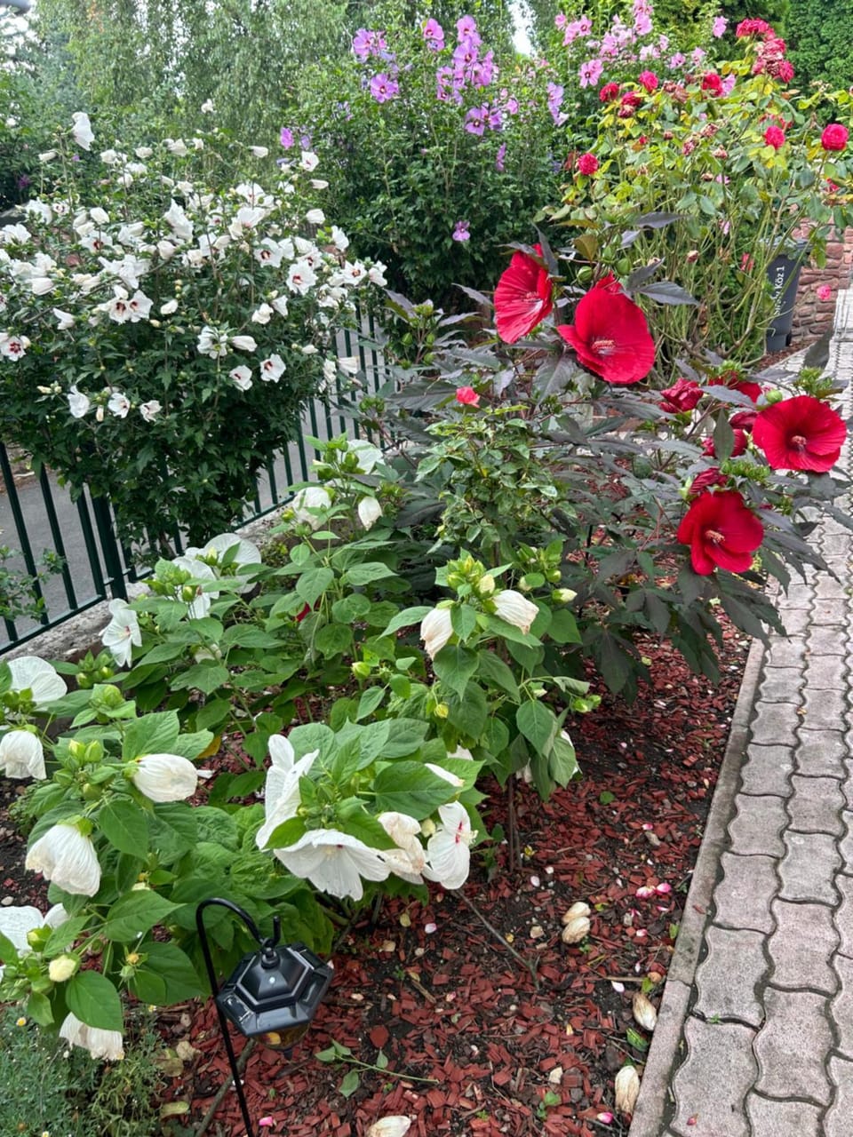 Garden, Garden view
