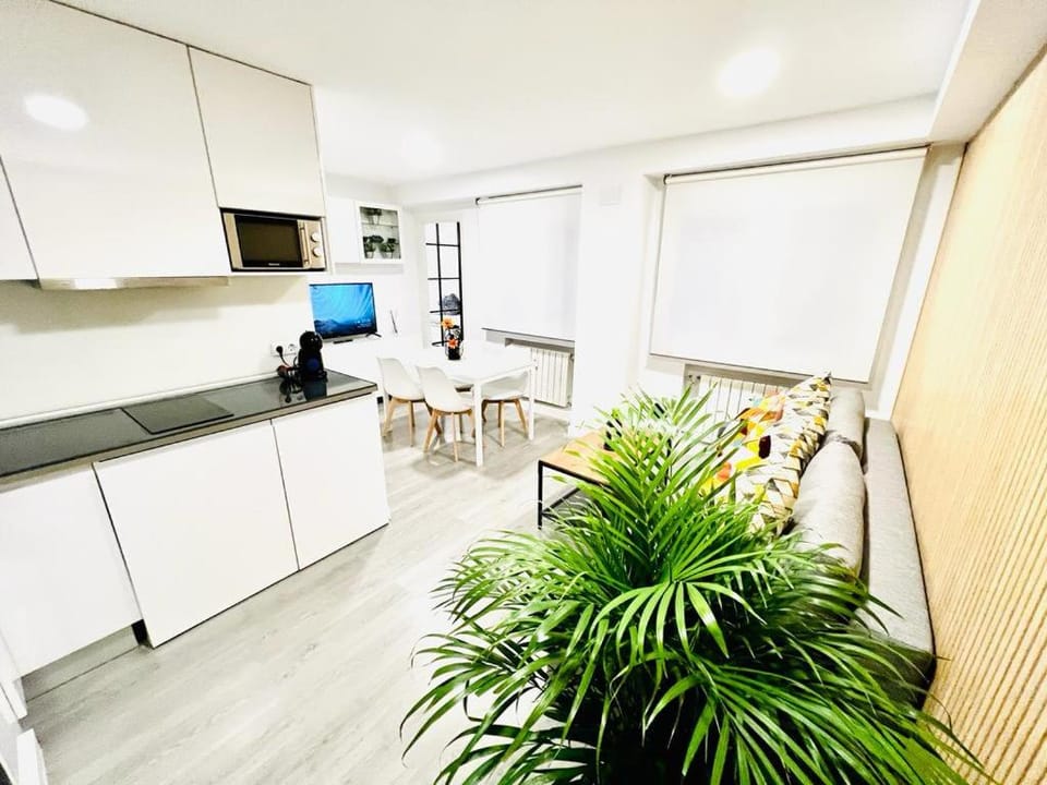 Kitchen or kitchenette, minibar, stove