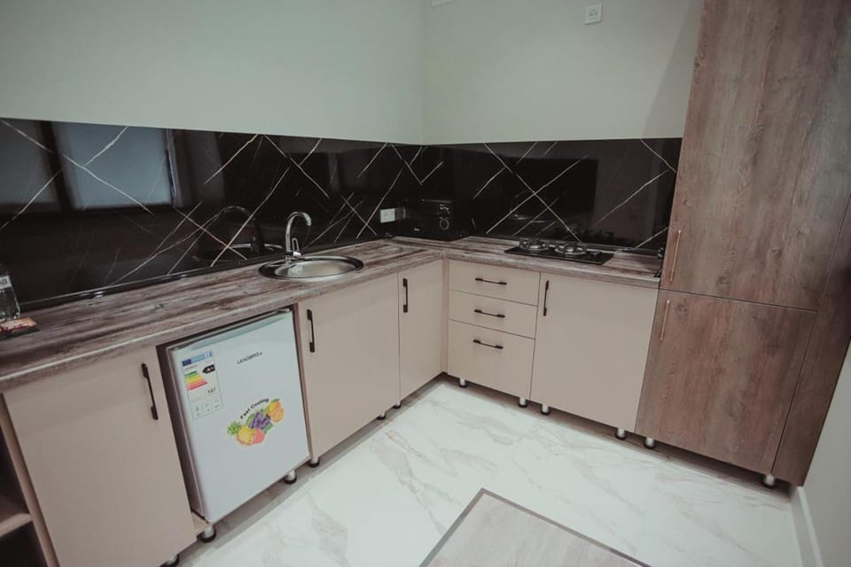 Kitchen or kitchenette, minibar, stove