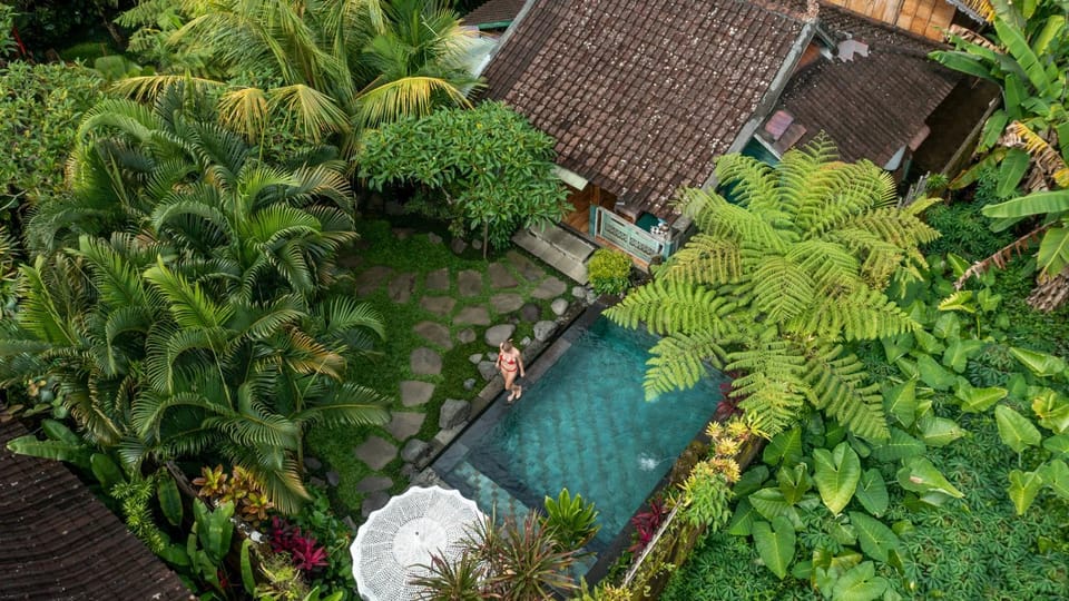 Property building, Day, Garden, Garden view, Pool view, Swimming pool