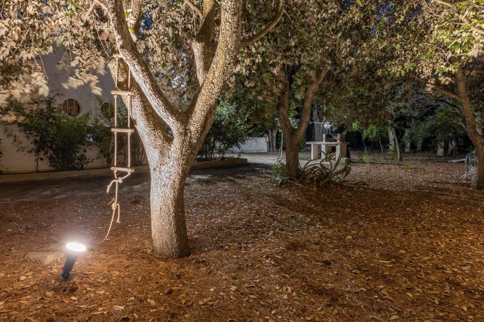 Night, Natural landscape