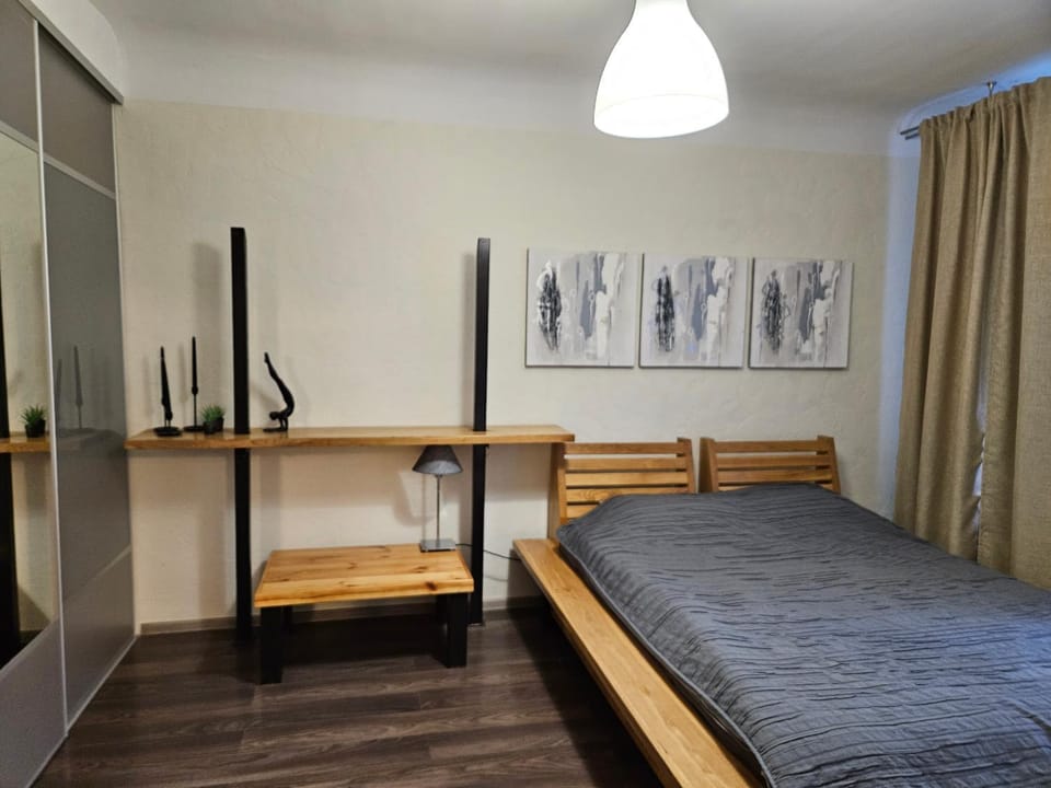 Riga Latvia couzy apartment by Gucha FREE PARKING AVAILABLE Apartment in Riga