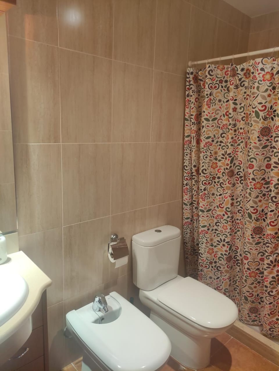 Shower, Toilet, Bathroom, bidet