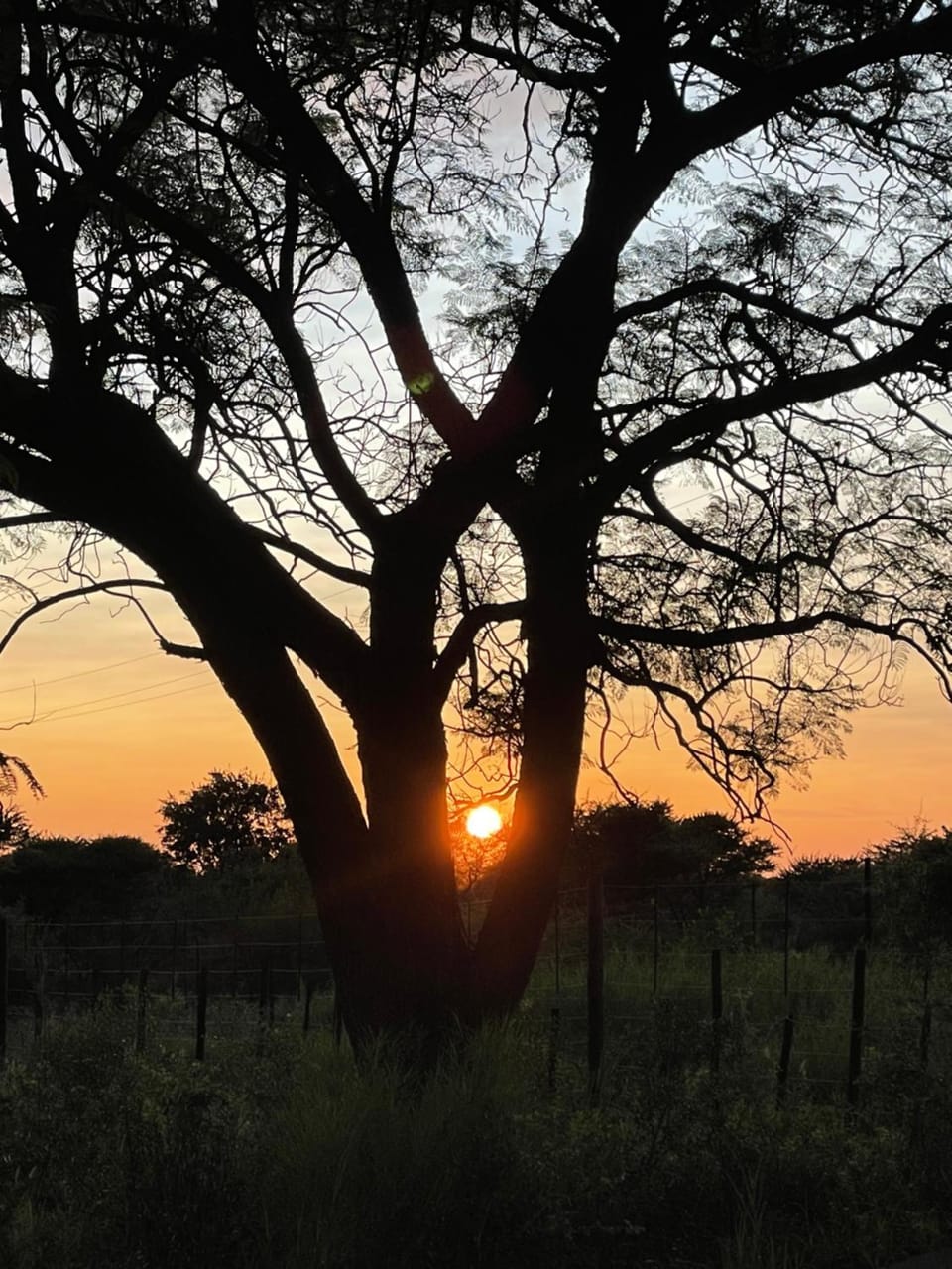 The Farm Shop Bed and Breakfast in Namibia