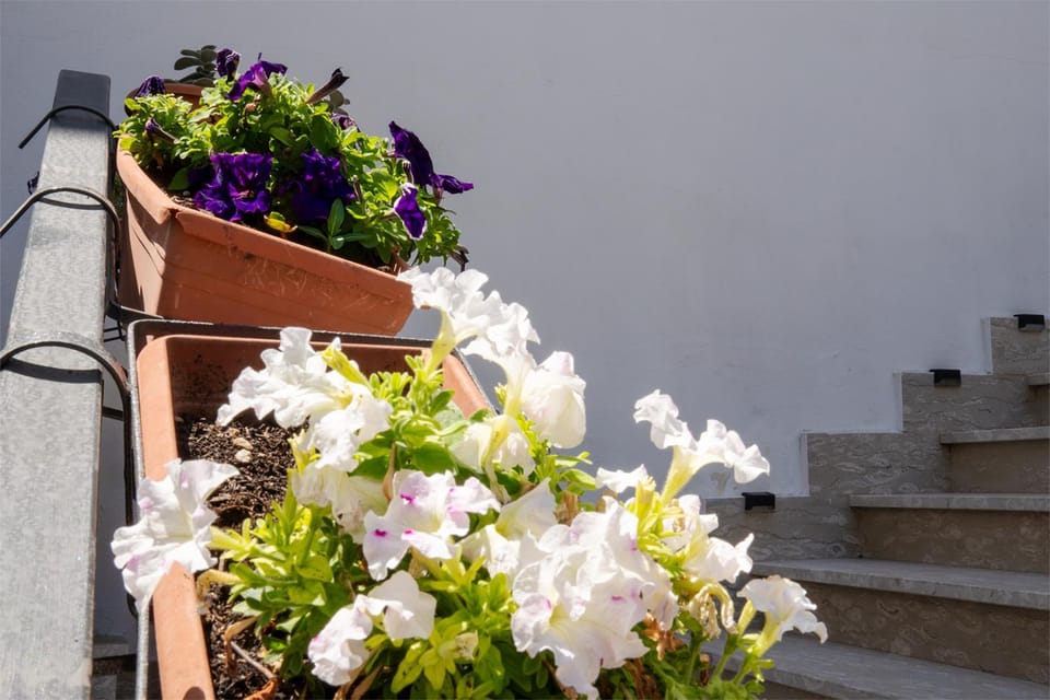 A CASA DI FALCO 2 Bed and Breakfast in Campania