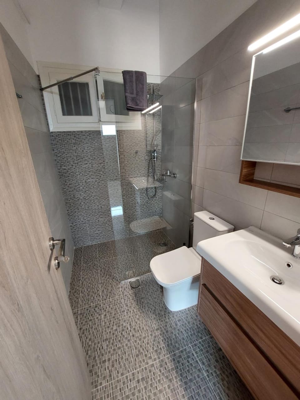 Shower, Toilet