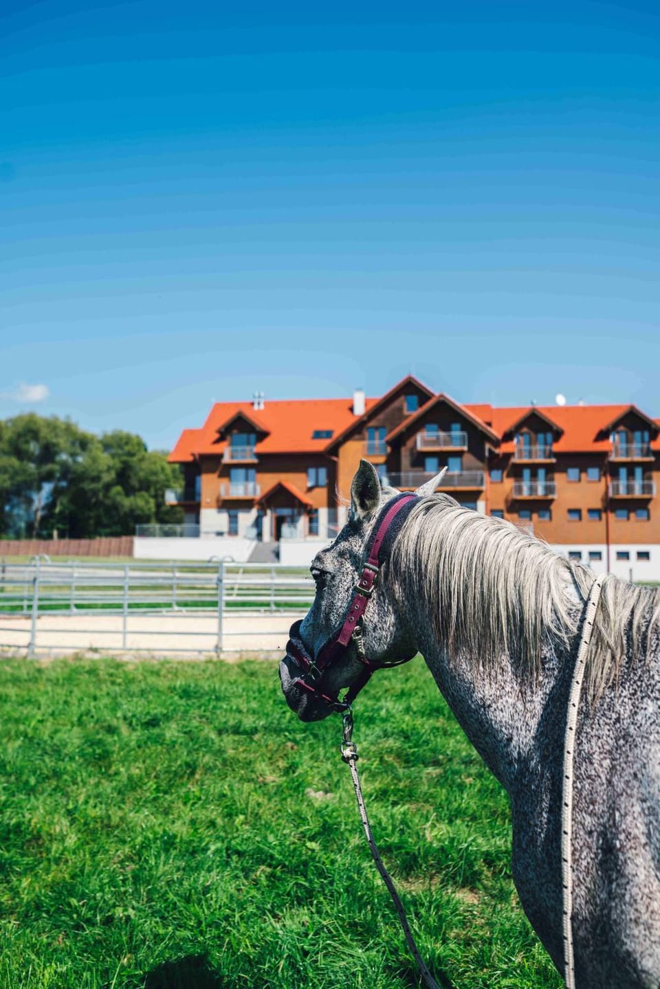 Horse-riding