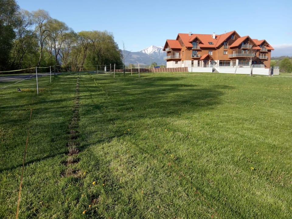 Property building, Natural landscape, Garden