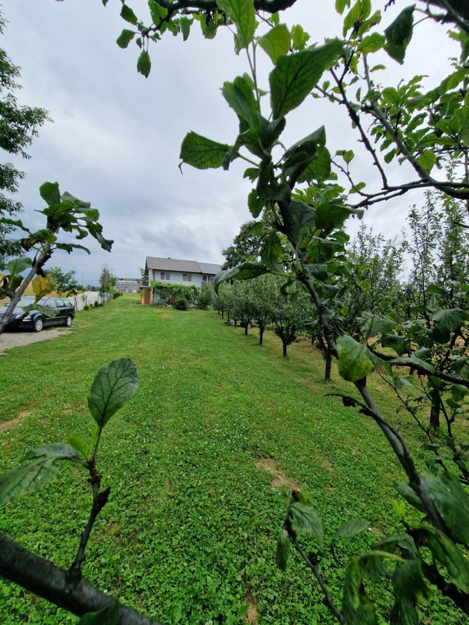 Garden view
