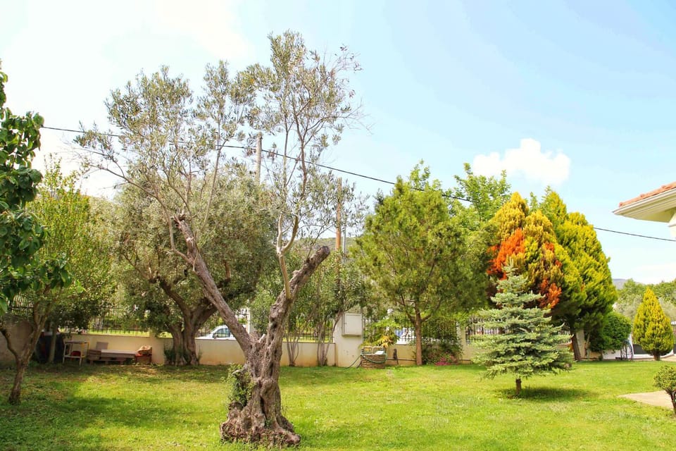 Day, Natural landscape, Garden, Garden view