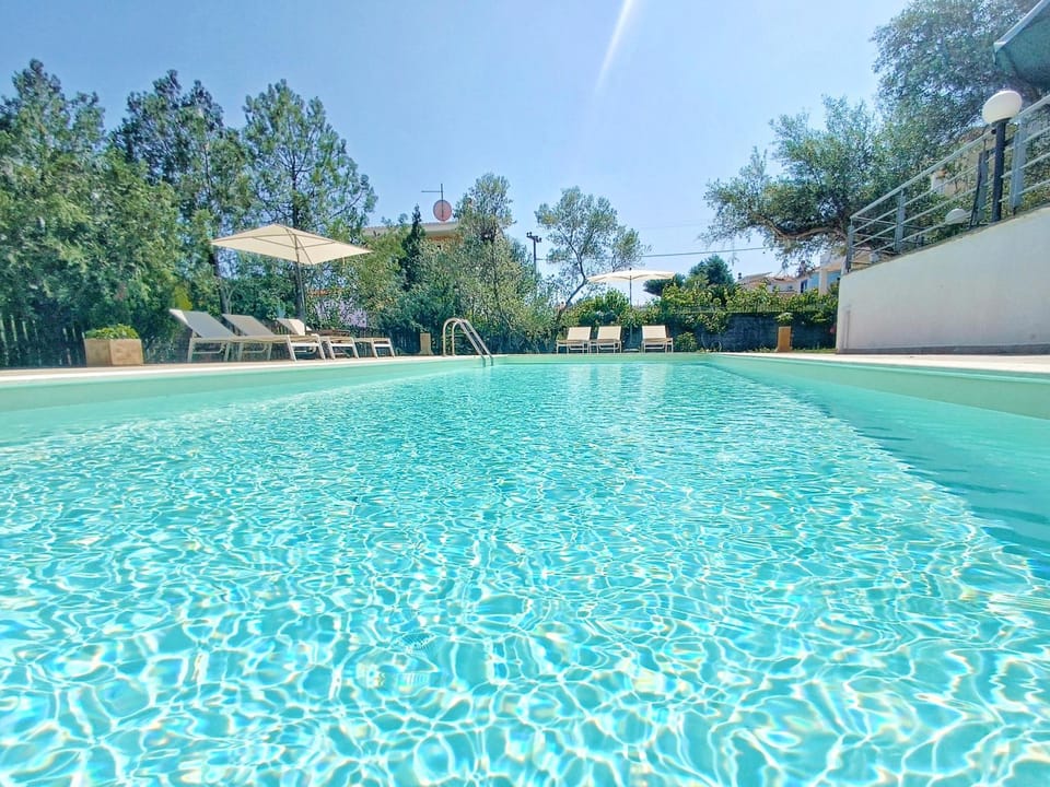 Pool view, Swimming pool, sunbed