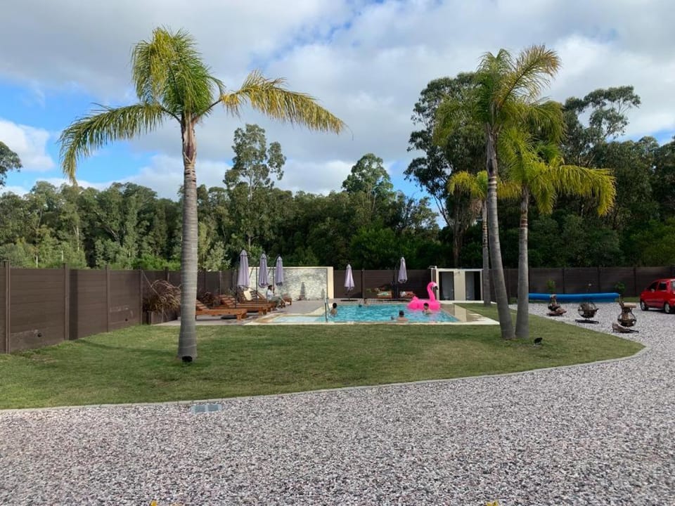 Natural landscape, Pool view, sunbed