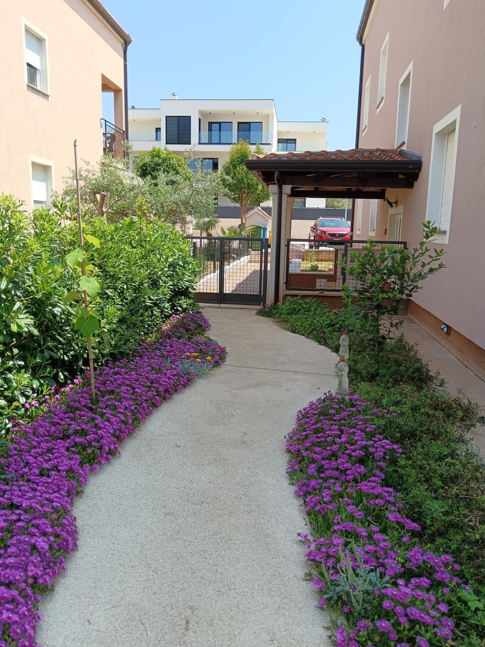 Garden view