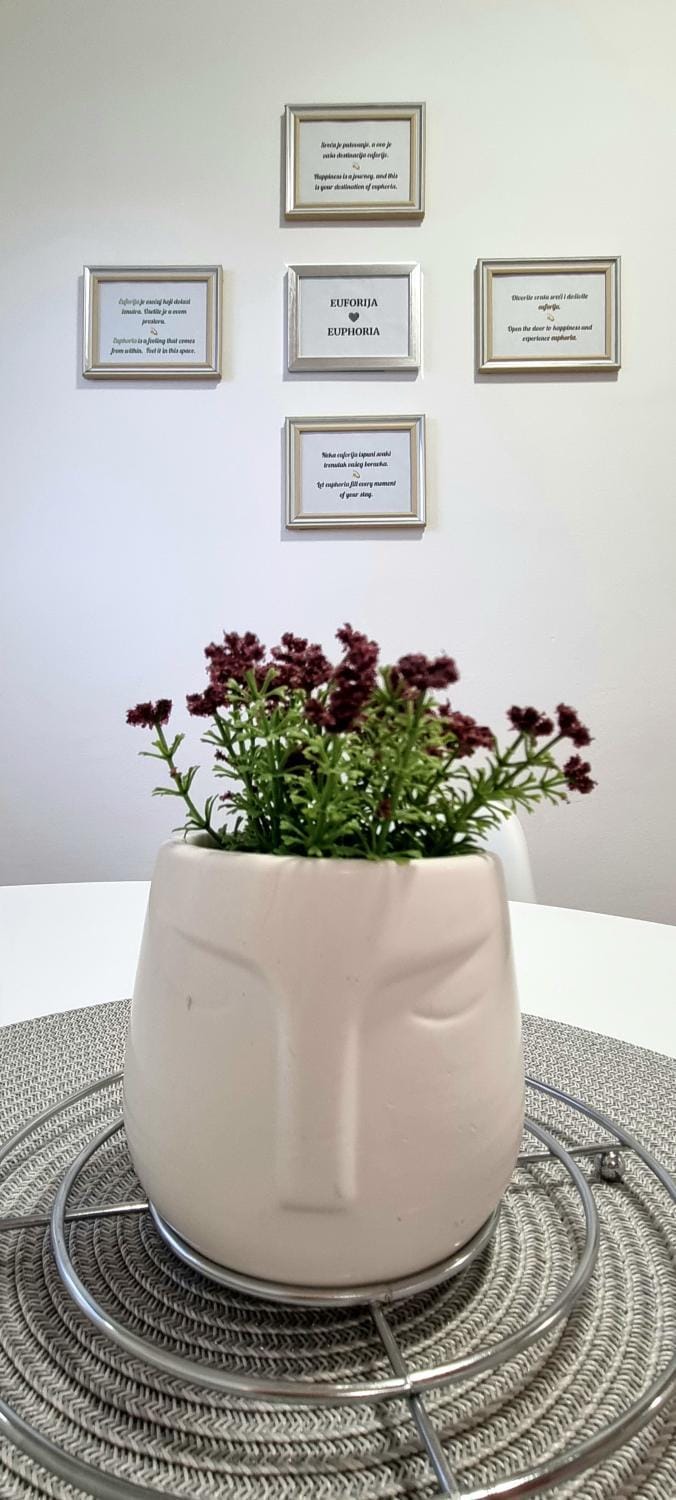 Euforia apartment Apartment in Belgrade