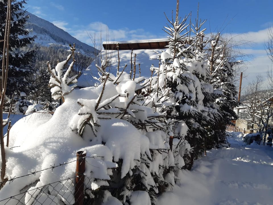 Property building, Day, Winter