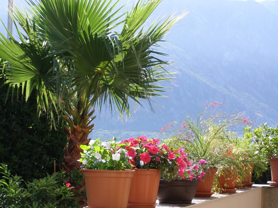 Garden view, Sea view