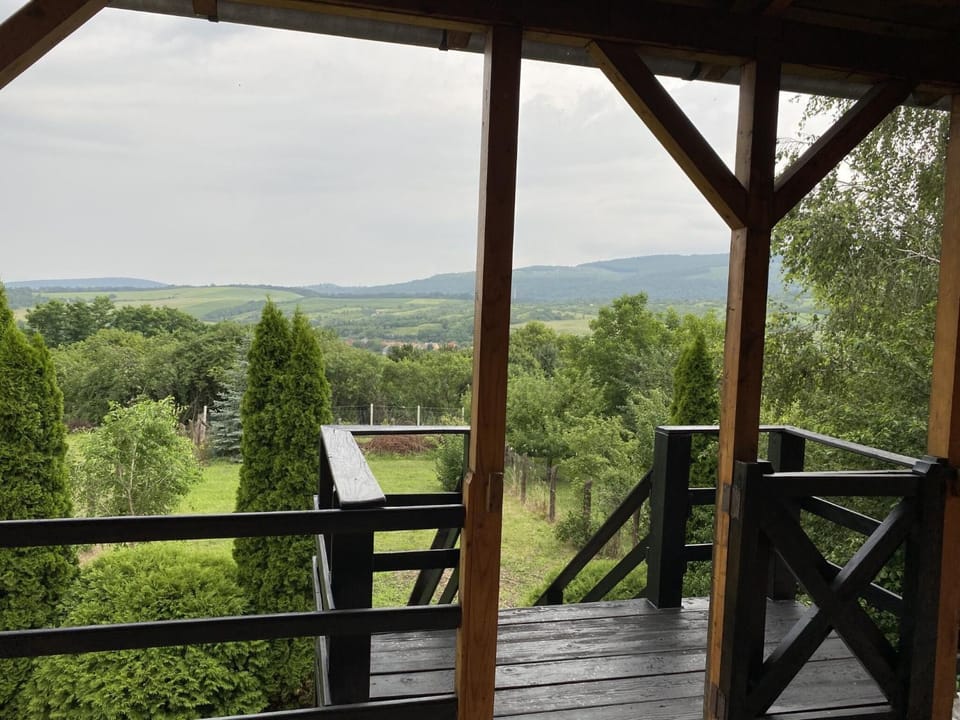 Natural landscape, View (from property/room), Balcony/Terrace, Mountain view
