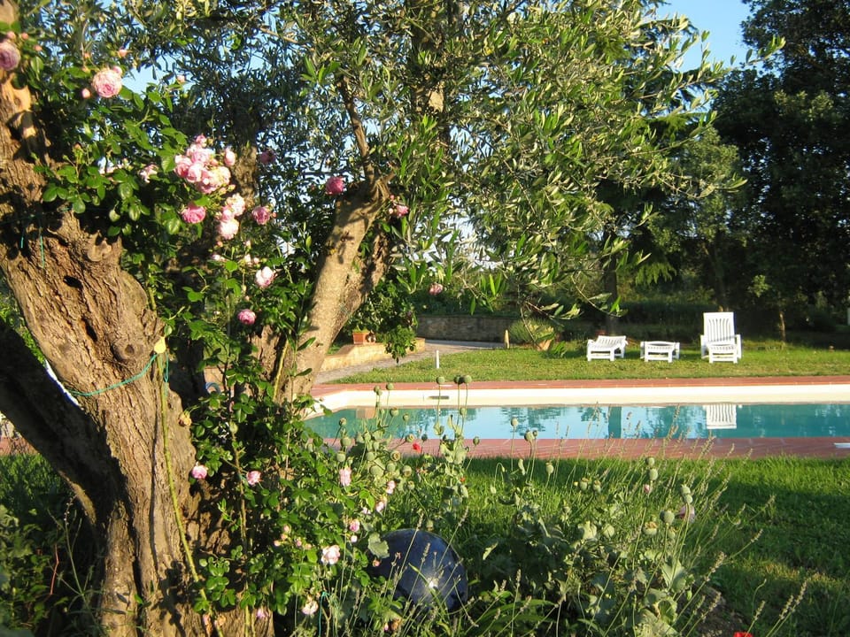 Agriturismo Poderino Farm Stay in Tuscany