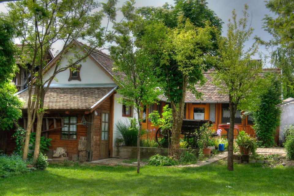 Property building, Spring, Children play ground, Garden, Garden view